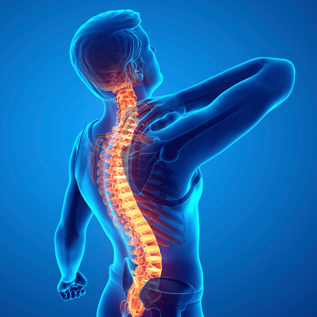 Back and Neck Pain