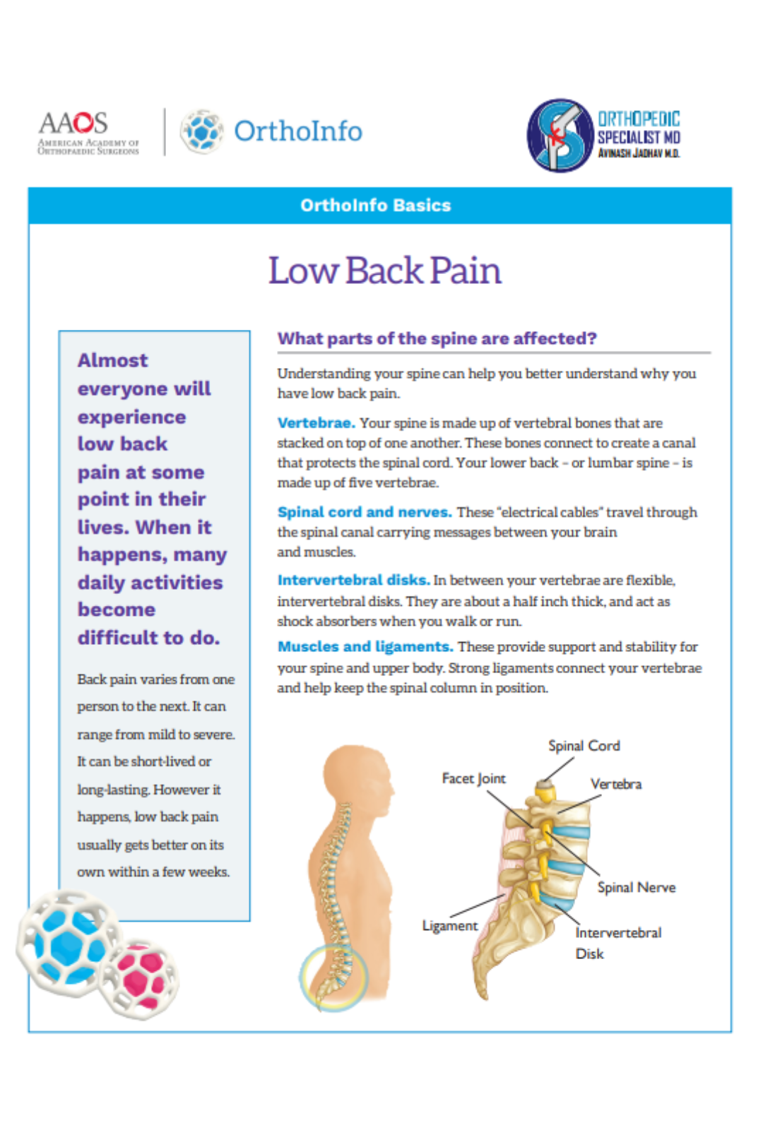 low-back-pain