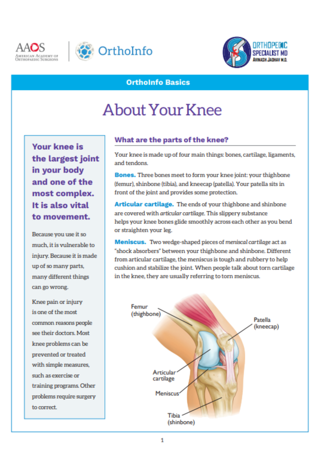 about-your-knee